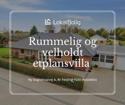 Opslagsbillede