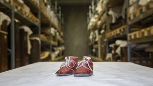 Odsherred Museum åbner i ny lokation