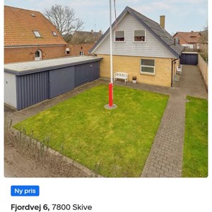 Opslagsbillede