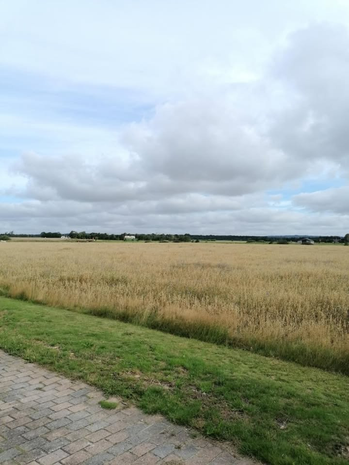 Danbolig Nørresundby tilbyder indflytningsklar etplansvilla med fantastisk udsigt