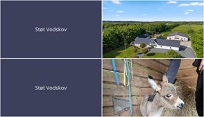 Nyt fra Vodskov Dyreklinik v/Thorstein Arnason og Mæglerhuset