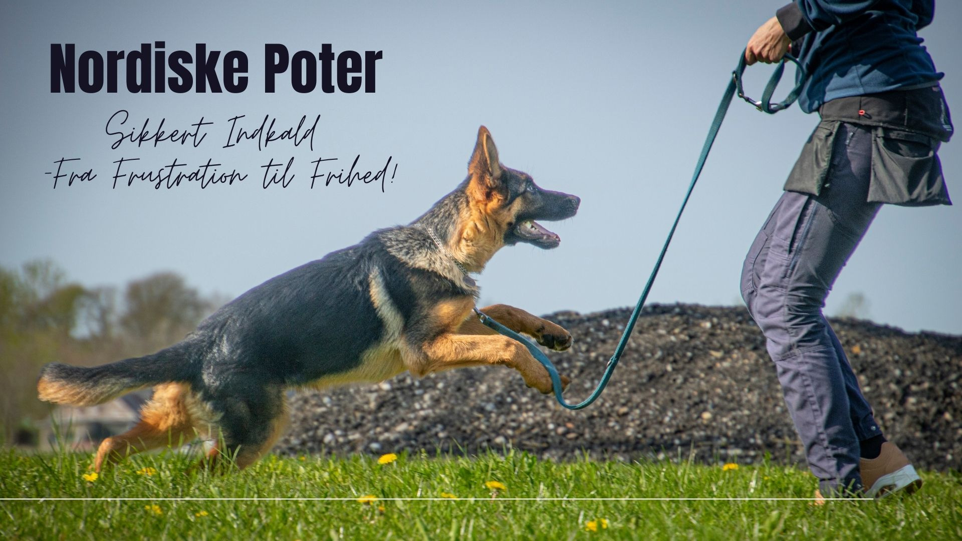 Kursus for hundeejere: Fra frustration til frihed i Brønderslev
