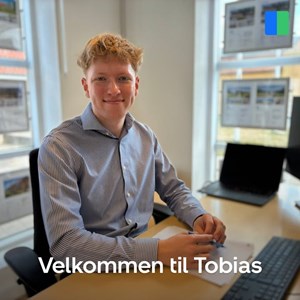 Opslagsbillede