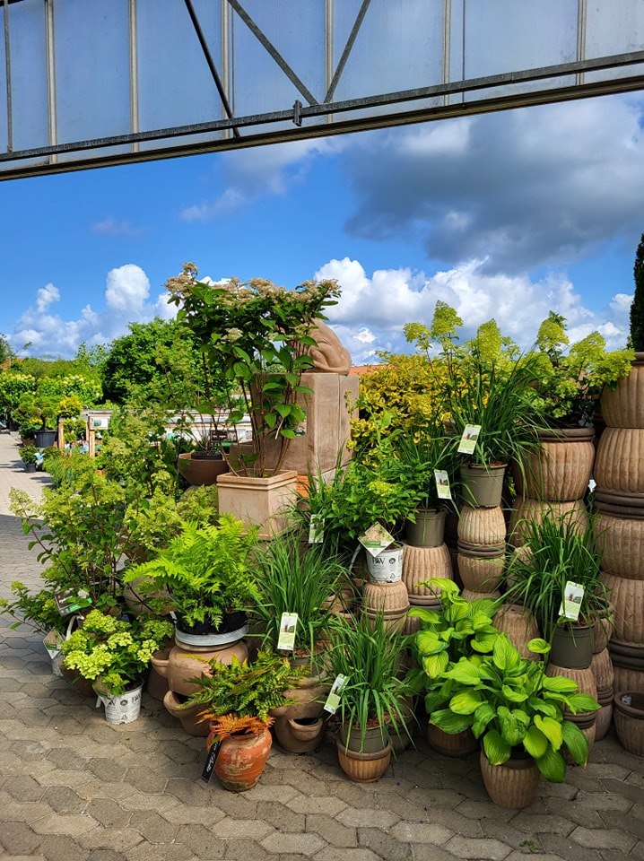 Opslagstavlen: Nyeste opdateringer fra Viborg