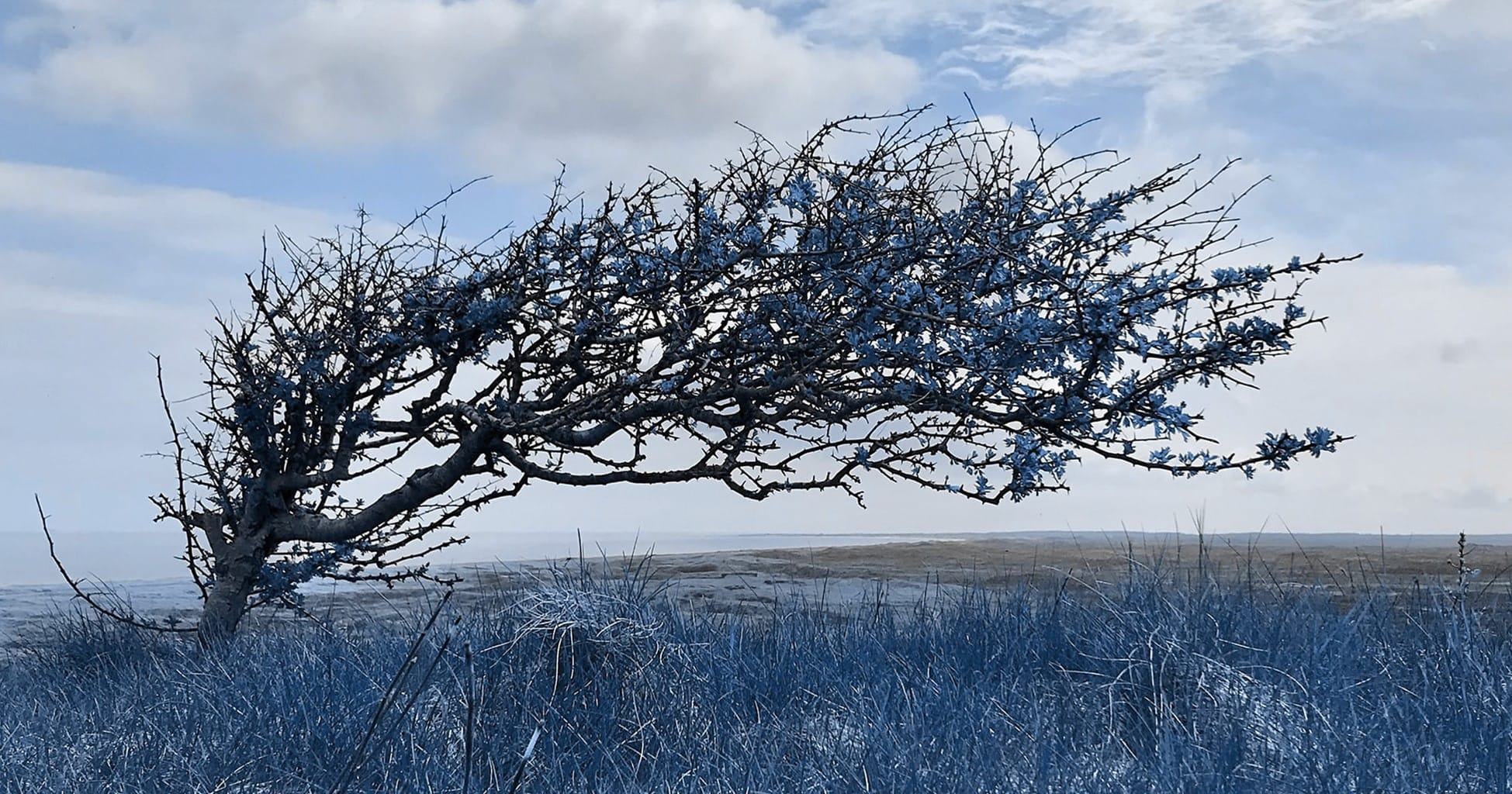 Oplev danseteater i verdensklasse med "Det er ikke Mårup Kirke" i Hjørring