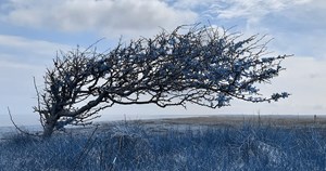 Oplev danseteater i verdensklasse med "Det er ikke Mårup Kirke" i Hjørring