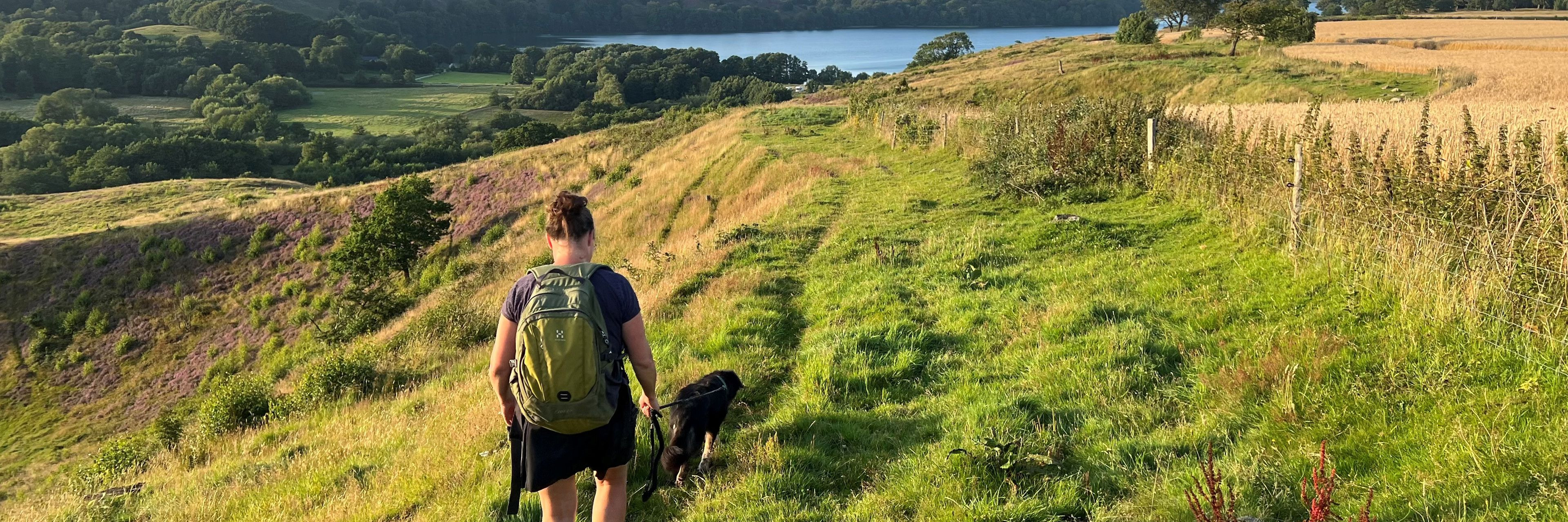 Ny vandrerute Gletsjerruten åbner med naturskønne oplevelser i Viborg