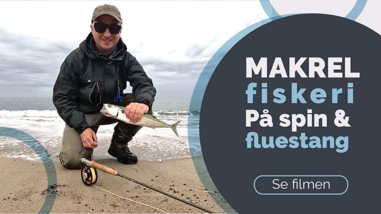 Se dagens updates fra Vejle her