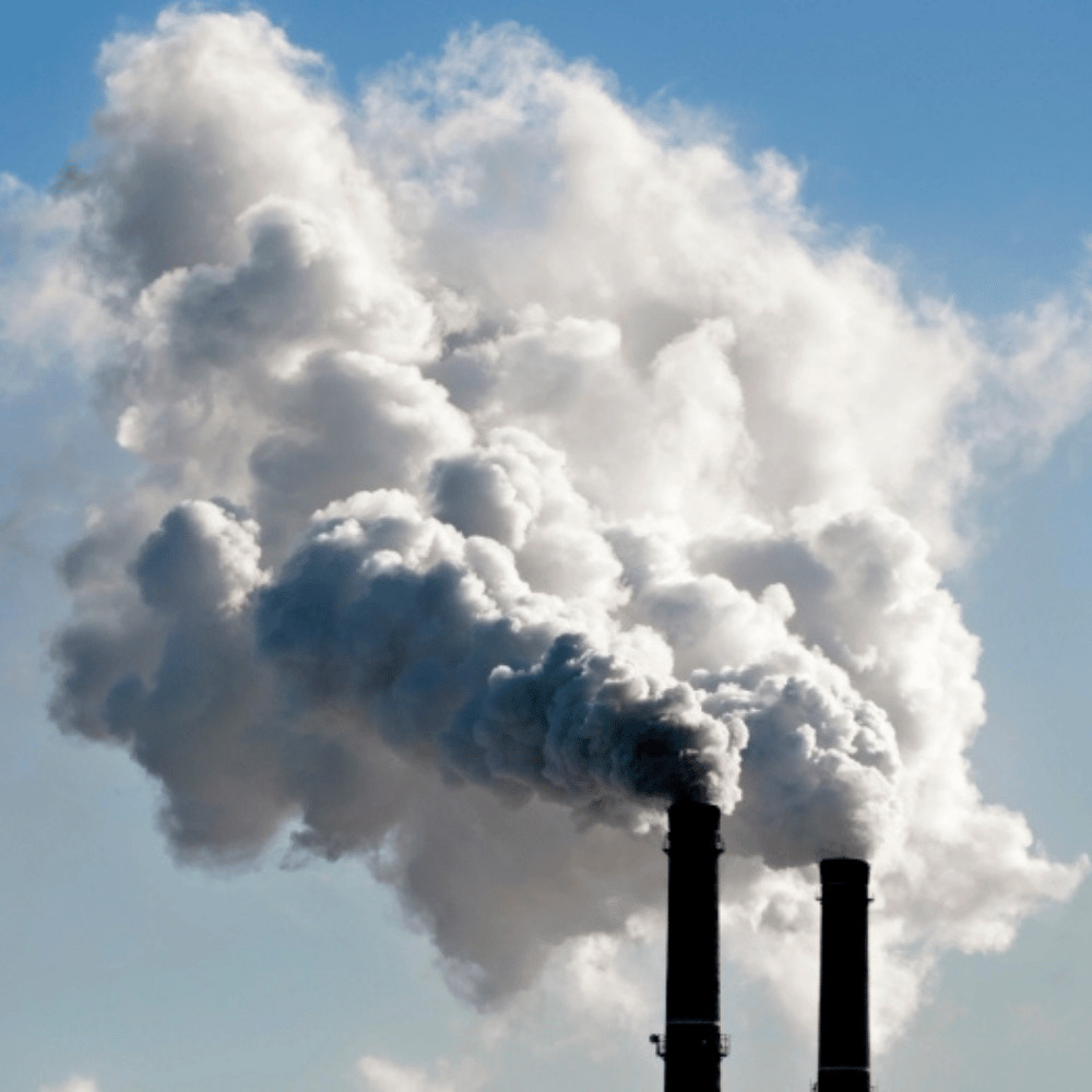 Oplev indisk madlavning og filosofisk indsigt i Aarhus