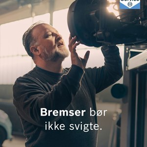 Opslagsbillede