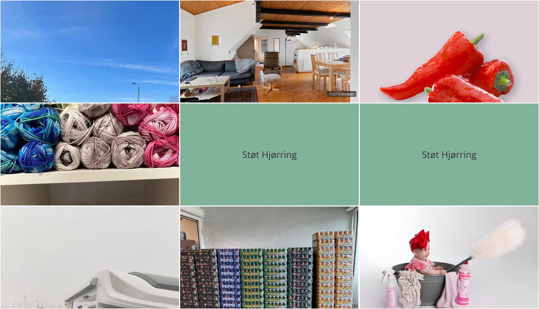 Nyt fra Ejendomsmæglerfirmaet Thomas Risager A/S, SPAR Nørrebro Hjørring, Skjoldager Dræn- & Entreprenørforrentning ApS og 4 andre