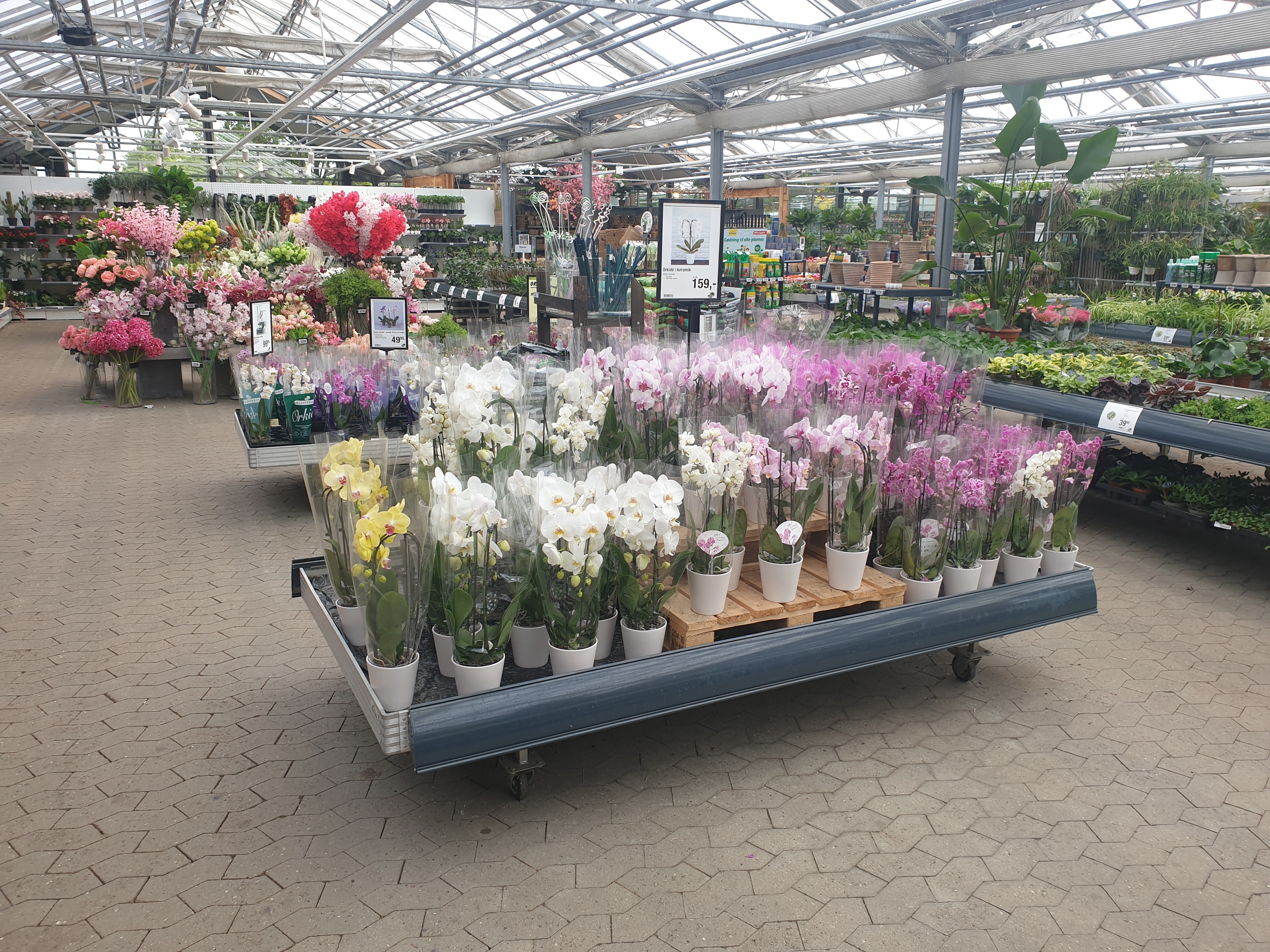 Dagens topnyheder på sociale medier fra dit område