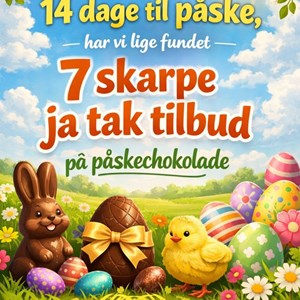 Opslagsbillede