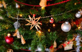 Juleforestilling i Hammel: Juletræets hemmelighed