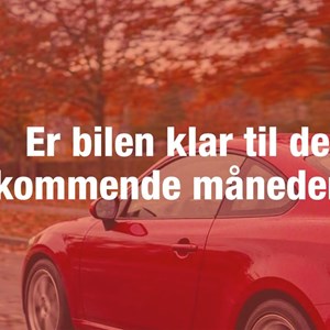 Opslagsbillede
