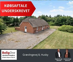 opslagsbillede