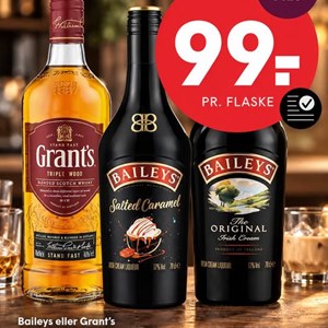 Opslagsbillede