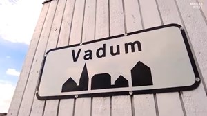 Unik bolig med god beliggenhed til salg på Møllevænget 18 i Vadum