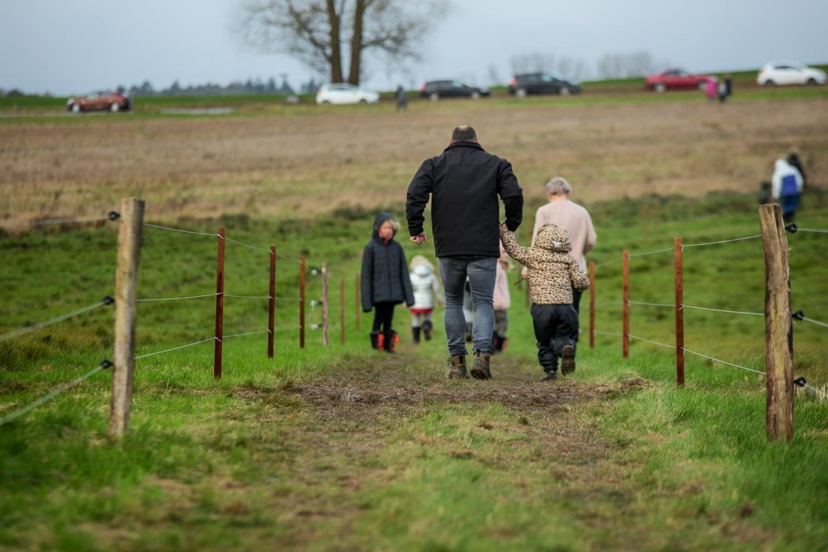 Nye botilbud i Horsens: 40 nye pladser til borgere med udviklingshæmning forventes klar i 2026