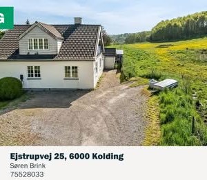 Opslagsbillede