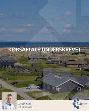 opslagsbillede