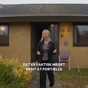 Opslagsbillede