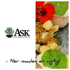 opslagsbillede