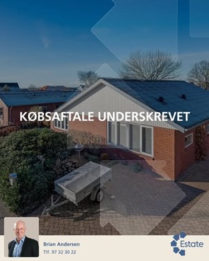 opslagsbillede