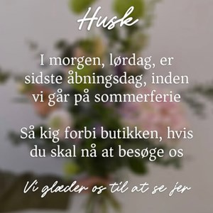 Opslagsbillede