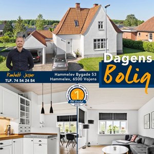 Opslagsbillede