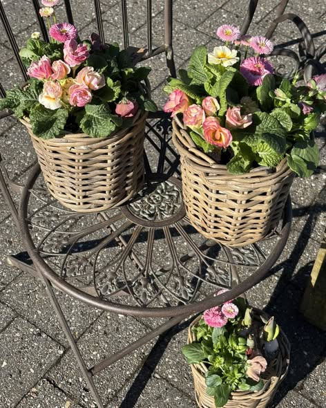 Tulipa Blomster & Havedesign forbereder åbningen af ny butik i Bredballe Centeret