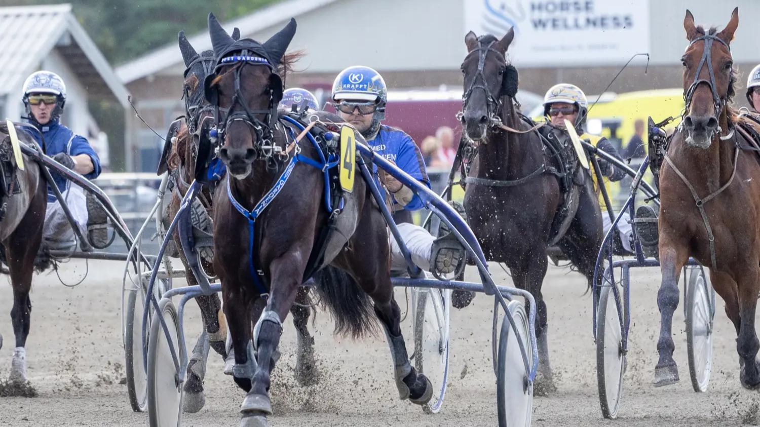 Nyd spændingen ved Lunchtrav på BioCirc Trav Arena Skive