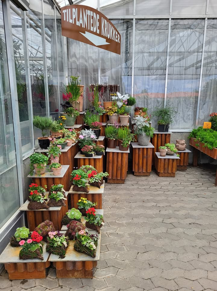 Asmild Plantecenter ApS tilbyder skræddersyede sammenplantninger og kirkegårdshjerter