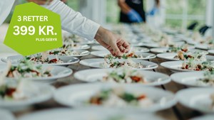 Gastronomisk oplevelse på Kolvig by Skovmose i Ribe