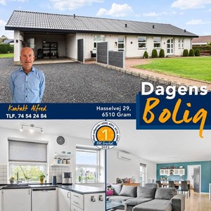 Opslagsbillede