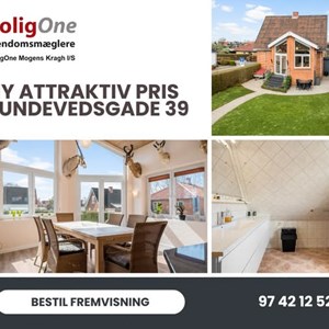 Opslagsbillede