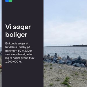 Opslagsbillede