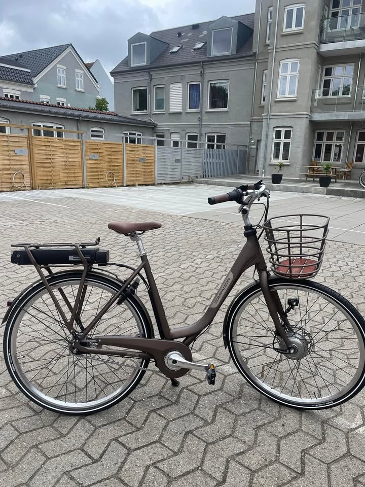 Fri BikeShop Vejle pr&#xE6;senterer ny elcykel: Companion E1.0 klar til cykelstierne