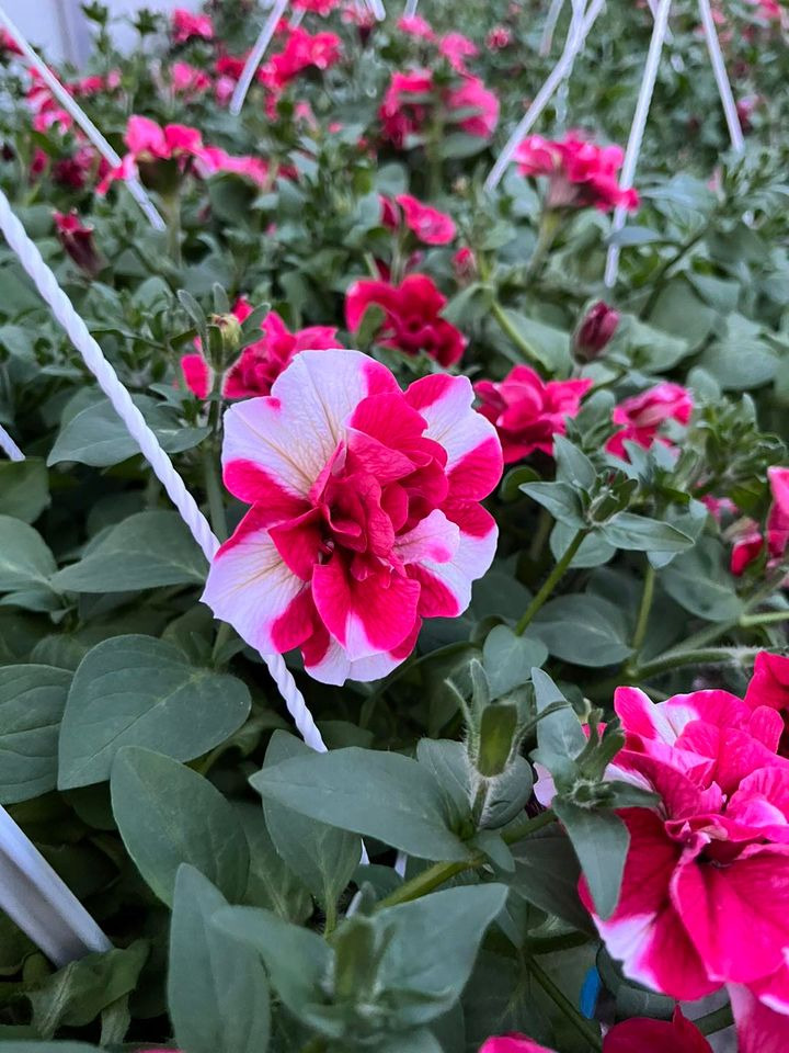 Hold dig ajour med dagens opdateringer fra Horsens