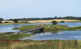 Guidet tur ved Næsholm: Oplev Danmarks bedst undersøgte middelalderborg