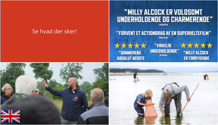 Oplevelser i Løgstør denne weekend: Superhelte, vikinger og fjordekspedition