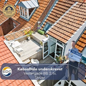 Opslagsbillede