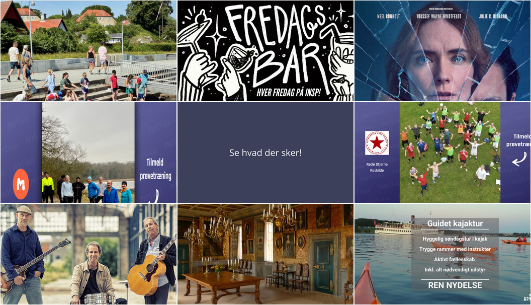Oplev Roskilde i weekenden: Fra krabbejagt til livekoncert