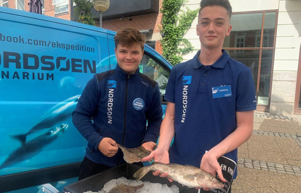 Mød guiderne fra Nordsøen Oceanarium i Hjørring midtby 