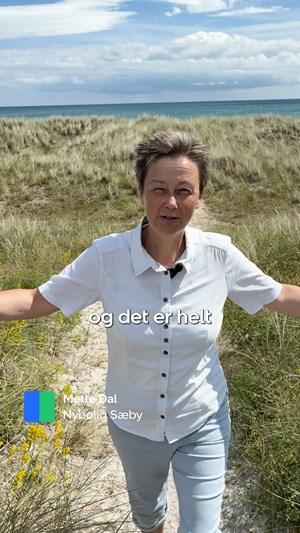 opslagsbillede