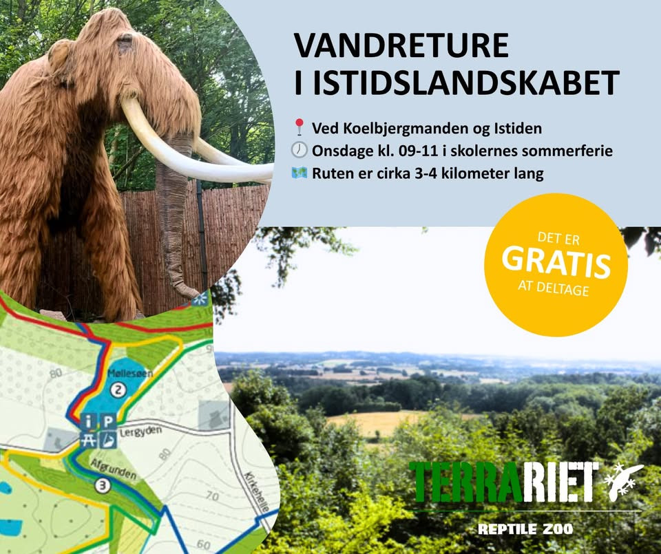 Vandretur i istidslandskabet i Vissenbjerg