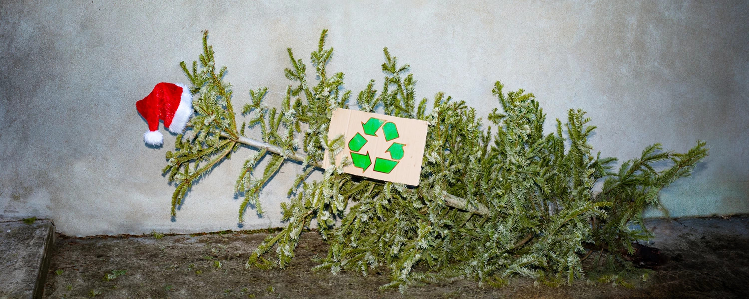 Aflevér dit brugte juletræ på Randers Havn eller genbrugspladsen