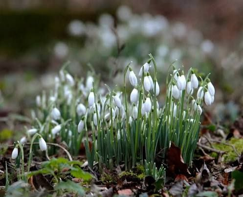 Fysioterapien Lund opfordrer til daglig bevægelse for et energiboost i foråret