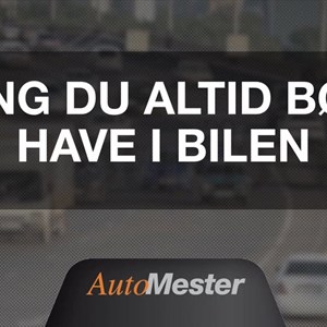 Opslagsbillede