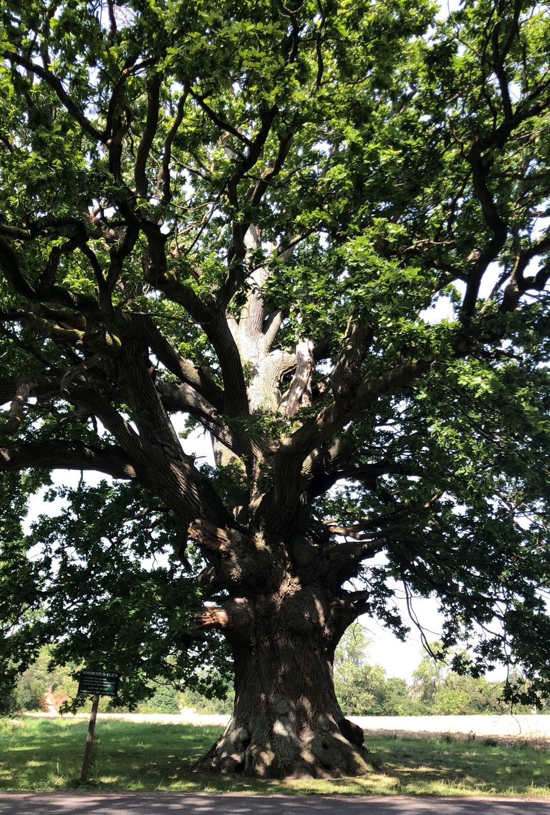 Oplev litteratur og natur på vandring i Nørreskoven